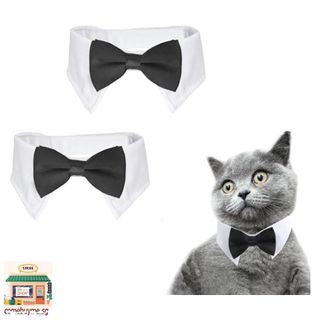 (Category: ) located in . Submitted by comebuyme.sg (Listing ID 1450025167, Image 1). Description: .