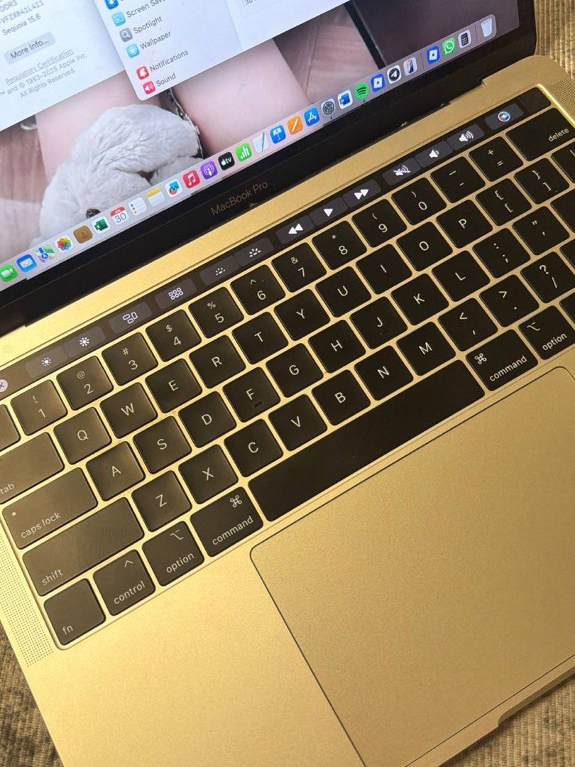 Apple MacBook Pro 13-inch 2019511215237239285762