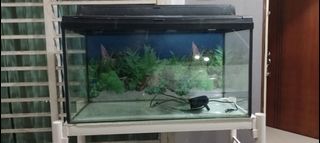 (Category: ) located in . Submitted by putra_herry (Listing ID 1449959475, Image 1). Description: .