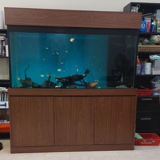 (Category: ) located in . Submitted by d34d_ (Listing ID 1450066389, Image 1). Description: .