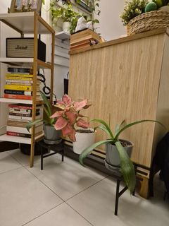 (Category: ) located in . Submitted by small.things.matter (Listing ID 1438156346, Image 1). Description: .