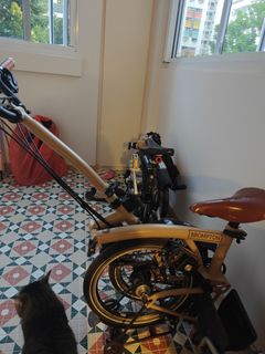 (Category: ) located in . Submitted by themw (Listing ID 1450060227, Image 1). Description: .