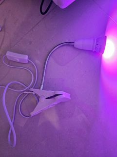(Category: ) located in . Submitted by reefing (Listing ID 1450051202, Image 1). Description: .