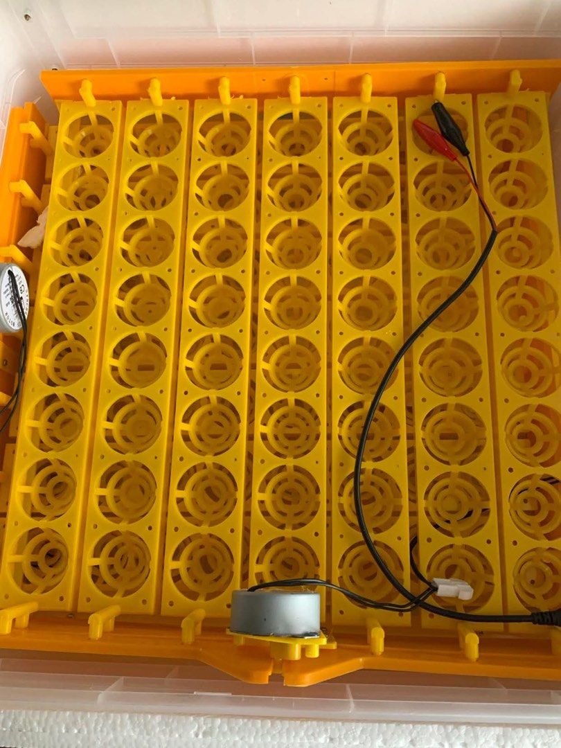 Egg Incubator (Category: Homes & Other Pet Accessories) located in Manila. Submitted by tindahannidickson (Listing ID 1450001908, Image 3). Description: .