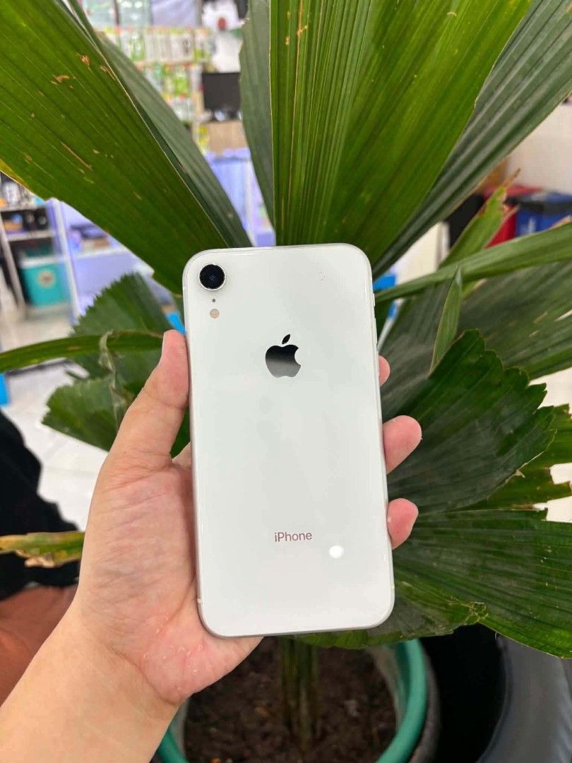 Iphone XR (Category: Others) located in Cebu City. Submitted by bertwill141997 (Listing ID 1450012530, Image 1). Description: Iphone XR 128gb ✅100% battery health ✅With truetone & face id ✅Safe to reset ✅Super hamis ✅No issue 💸9k only.