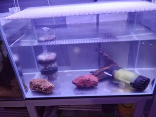 (Category: ) located in . Submitted by isabil (Listing ID 1450107698, Image 1). Description: .