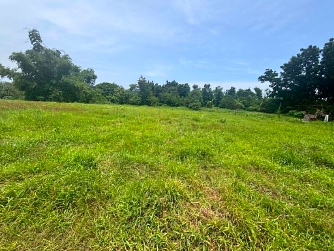 Lian, Batangas (Farm Lot) (Category: Lot) located in Caloocan City. Submitted by books_over_flowers (Listing ID 1450079126, Image 3). Description: Brgy. Malaruhatan, Lian, Batangas 1,300/sqm Available cut: 500 sqm 1,000 sqm 5-7 minutes to town proper 7-10 minutes beach Flood free Cemented road Mountain view May linya ng tubig , kuryente at internet connection 50% DP, and the remaining balance is 1 year to pay With discount kapag cash Clean titled