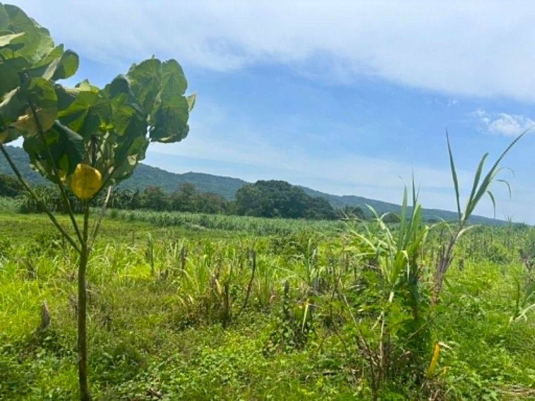 Lian, Batangas (Farm Lot) (Category: Lot) located in Caloocan City. Submitted by books_over_flowers (Listing ID 1450079126, Image 1). Description: Brgy. Malaruhatan, Lian, Batangas 1,300/sqm Available cut: 500 sqm 1,000 sqm 5-7 minutes to town proper 7-10 minutes beach Flood free Cemented road Mountain view May linya ng tubig , kuryente at internet connection 50% DP, and the remaining balance is 1 year to pay With discount kapag cash Clean titled