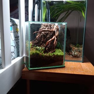(Category: ) located in . Submitted by v3gqt (Listing ID 1450087156, Image 1). Description: .