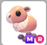 (Category: ) located in . Submitted by adoptmeprincess (Listing ID 1450055658, Image 1). Description: .