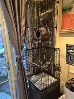 (Category: ) located in . Submitted by gap1408 (Listing ID 1450064125, Image 1). Description: .