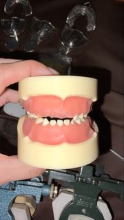 (Category: ) located in . Submitted by matchacreamcheese (Listing ID 1450102087, Image 1). Description: .