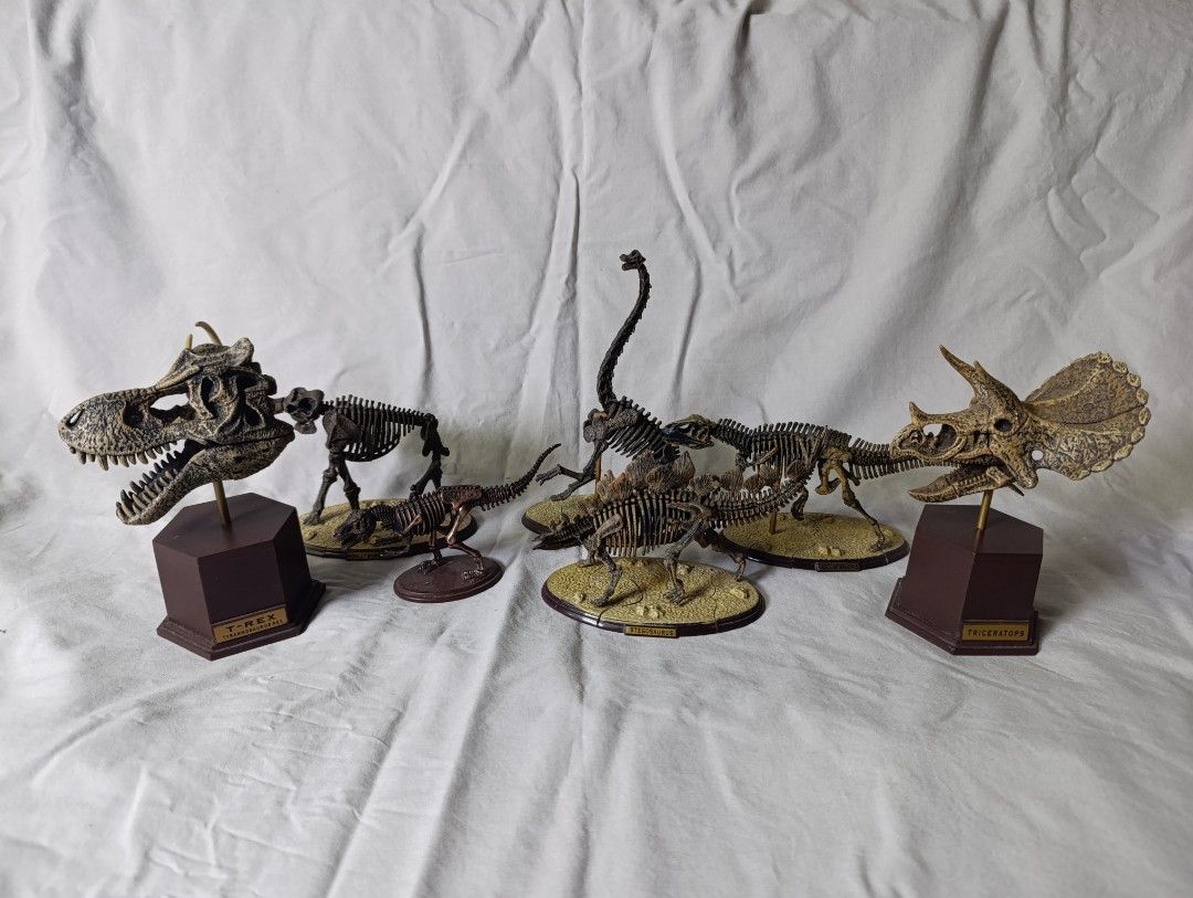 Set of 5 Dinosaur Skeleton Models with Bases (Category: Figurines & Statues) located in Marikina City. Submitted by beeeekenneth (Listing ID 1449956083, Image 1). Description: -Vintage Collection of detailed dinosaur skeleton models. - Includes popular dinosaurs like Tyrannosaurus Rex and Brachiosaurus, plus a Mammoth (lost tail) - Each model comes mounted on its own display base. - Ideal for dinosaur enthusiasts, collectors, or educational use. 