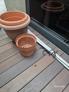 (Category: ) located in . Submitted by garden.bee (Listing ID 1450031971, Image 1). Description: .