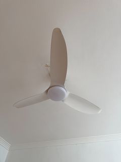 (Category: ) located in . Submitted by spring_cleaners (Listing ID 1450086069, Image 1). Description: .