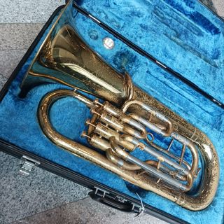 （分類：）位於 。 由 affordable_musical_instruments 提交（商品編號 1450190180，圖片 1）。簡介： 。