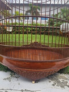 (Category: ) located in . Submitted by arts_birds_collectibles (Listing ID 1450314303, Image 1). Description: .