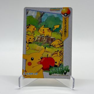 ⚡️ Pikachu ⚡️ Collection item 3
