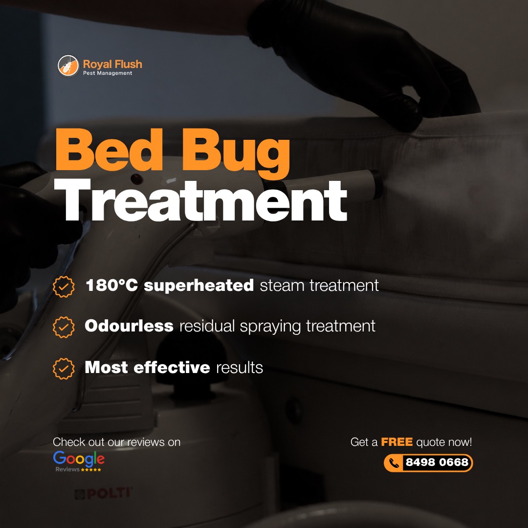 (Category: ) located in . Submitted by royalflushpestmanagement (Listing ID 1376189782, Image 1). Description: .