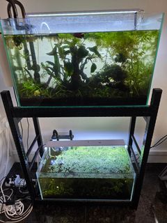 (Category: ) located in . Submitted by Qleentech (Listing ID 1450150336, Image 1). Description: .