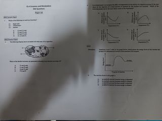 （分類：）位於 。 由 ale.8 提交（商品編號 1450143411，圖片 1）。簡介： 。
