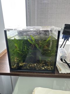 （分類：）位於 。 由 fee2018 提交（商品編號 1450202056，圖片 1）。簡介： 。