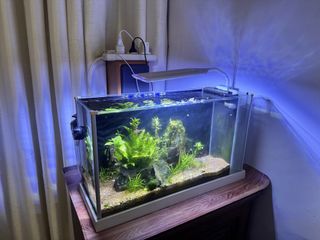 (Category: ) located in . Submitted by wheeeeee1 (Listing ID 1450265525, Image 1). Description: .