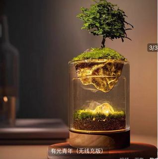 (Category: ) located in . Submitted by mypersonalshop (Listing ID 1450212267, Image 1). Description: .