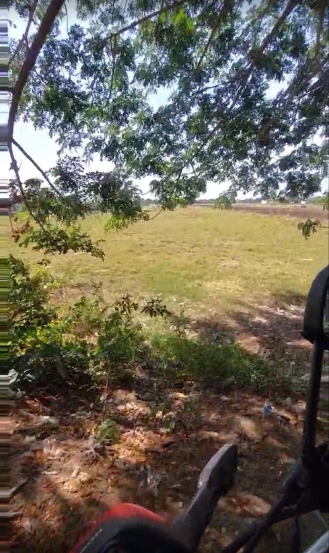 lot (Category: Lot) located in Manila. Submitted by chicfabcollection (Listing ID 1450170157, Image 3). Description: * Lokasyon: Brgy. San Vicente, Municipality of Cabiao, Nueva Ecija * Lot: Lot 17 (Subdivision Plan Psd-03-000547) * Laki: 10,032 square meters (1.0032 hectares) * Uri: Agricultural land * Boundary: May katabing irrigation canal, na malaking advantage para sa pagsasaka. Sample Listing 🌾 FOR SALE: 1.0032-Hectare Agricultural Land – 