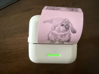 (Category: ) located in . Submitted by renje (Listing ID 1449809961, Image 1). Description: .