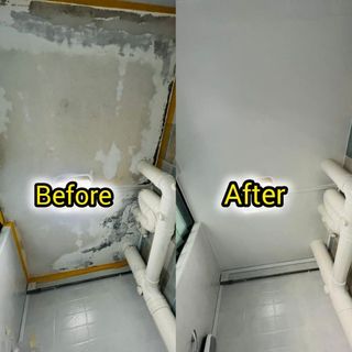 50% Offer On Anti Mould Treatment 自訂分類第二件商品