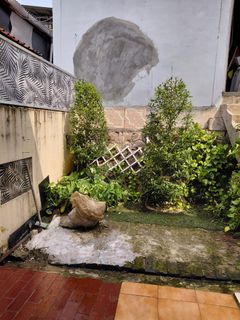 (Kategori: ) berada di . Dikirim oleh ajxpets (ID iklan 1450138864, Gambar 1). Deskripsi: .