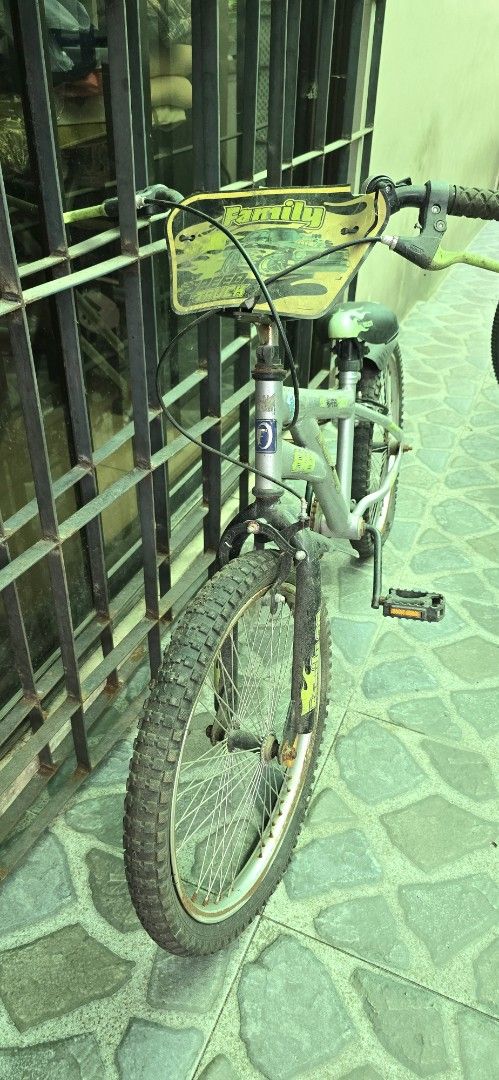 Silver BMX Bicycle with Green Accents (Category: Bicycles) located in Quezon City. Submitted by tindahan_nia (Listing ID 1450160449, Image 2). Description: - Silver BMX bike - Green handlebars and accents - Front and rear fenders included - Ready to ride - Perfect for cruising.