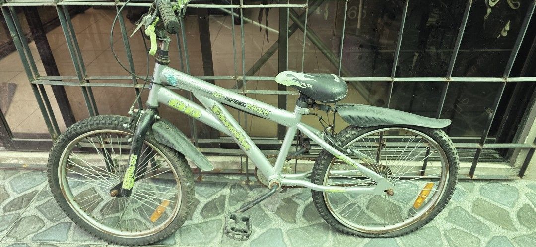 Silver BMX Bicycle with Green Accents (Category: Bicycles) located in Quezon City. Submitted by tindahan_nia (Listing ID 1450160449, Image 1). Description: - Silver BMX bike - Green handlebars and accents - Front and rear fenders included - Ready to ride - Perfect for cruising.