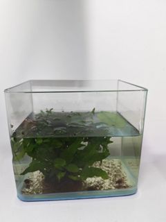(Category: ) located in . Submitted by itashi (Listing ID 1450264696, Image 1). Description: .