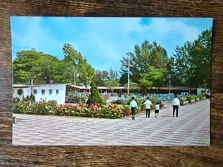 (Category: ) located in . Submitted by kyogadaddy (Listing ID 1450154799, Image 1). Description: .