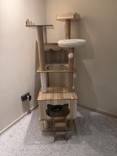 (Category: ) located in . Submitted by echosweat (Listing ID 1450156983, Image 1). Description: .