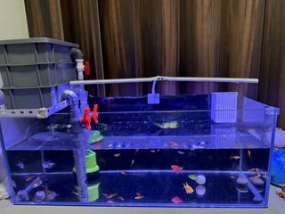 (Category: ) located in . Submitted by sandyling123 (Listing ID 1449267433, Image 1). Description: .