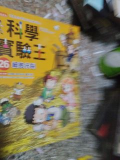 由 miss92022403 (刊登 ID 1450473635，圖片 1) 提交，位於 的 (類別：)，說明：。