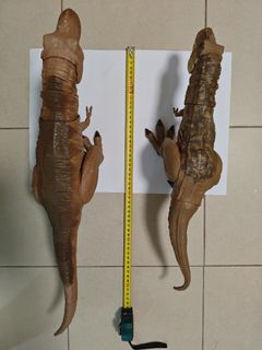 （分類：）位於 。 由 dolphin_4bc1d2 提交（商品編號 1450413487，圖片 1）。簡介： 。