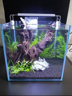 (Category: ) located in . Submitted by misskeu (Listing ID 1450400234, Image 1). Description: .
