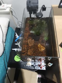 (Category: ) located in . Submitted by funkyfresh (Listing ID 1450417843, Image 1). Description: .