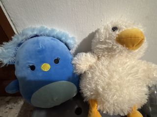 (Category: ) located in . Submitted by goopsi (Listing ID 1450437912, Image 1). Description: .