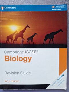 （分類：）位於 。 由 2ndroad 提交（商品編號 1450386289，圖片 1）。簡介： 。