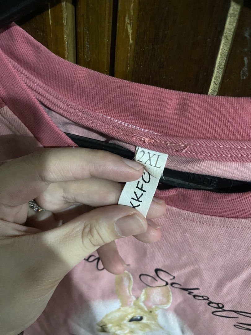 Double Toned Pink Rabbit Crop Top (Category: Shirts) located in Bacoor. Submitted by deaclutter.ph (Listing ID 1450449015, Image 2). Description: > Can fit to M-XL > Never worn > No when worn pic > No COD > GCash, GoTYME, Maya > MOD: lalamove or jnt > SF paid by buyer note: cat fur visible in pic, can be removed easily.