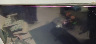 (Category: ) located in . Submitted by chieef (Listing ID 1450404905, Image 1). Description: .