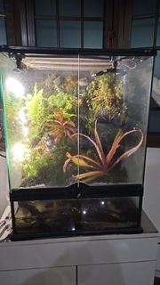 (Category: ) located in . Submitted by tpatrina (Listing ID 1450354030, Image 1). Description: .