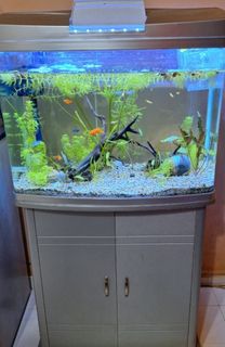 (Category: ) located in . Submitted by beadsfavourite (Listing ID 1450397821, Image 1). Description: .