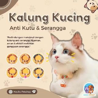 (Kategori: ) berada di . Dikirim oleh bundabanafsha (ID iklan 1450405940, Gambar 1). Deskripsi: .