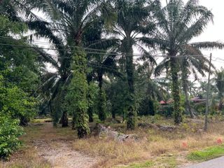(Category: ) located in . Submitted by farha2552546194 (Listing ID 1450338572, Image 1). Description: .